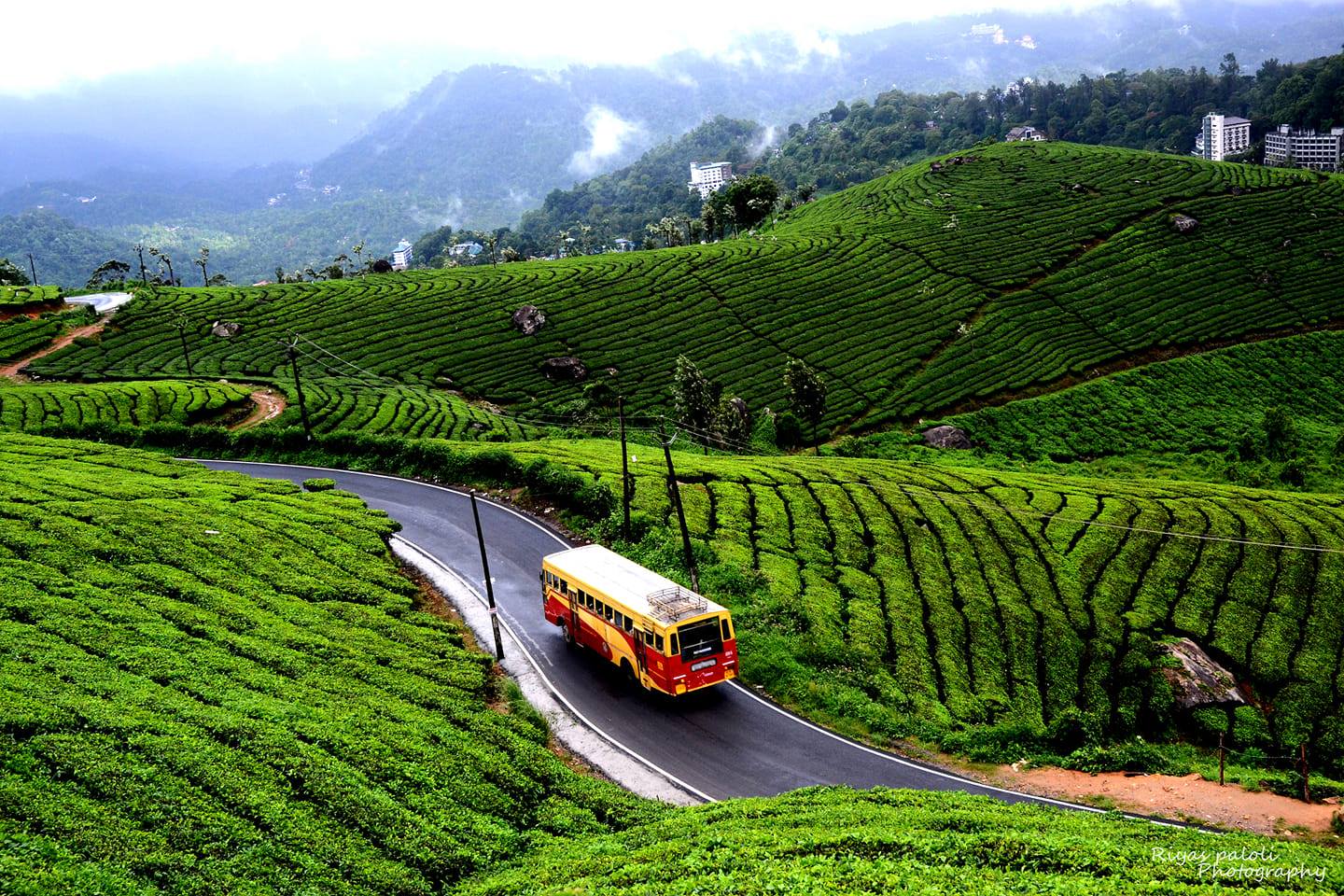 Best Budget-Friendly Domestic Destinations in India for a Perfect 2025 Trip