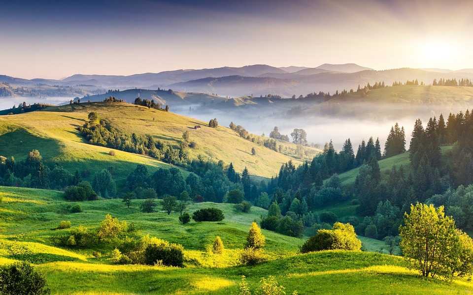 South IndIa