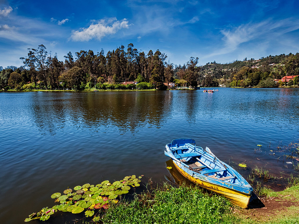  Ooty - Kodaikanal Tour