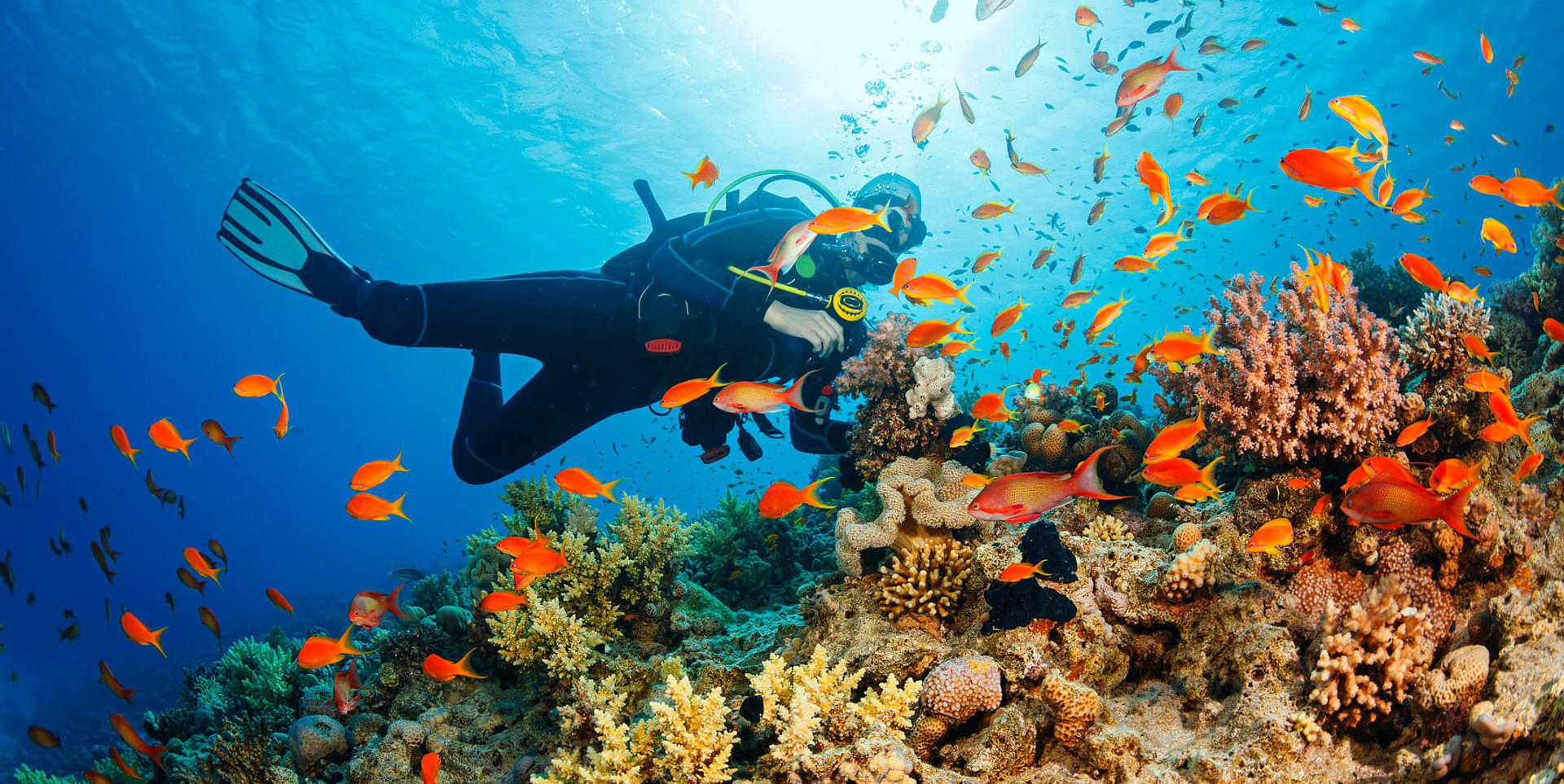 Adventure Explorer Andaman
