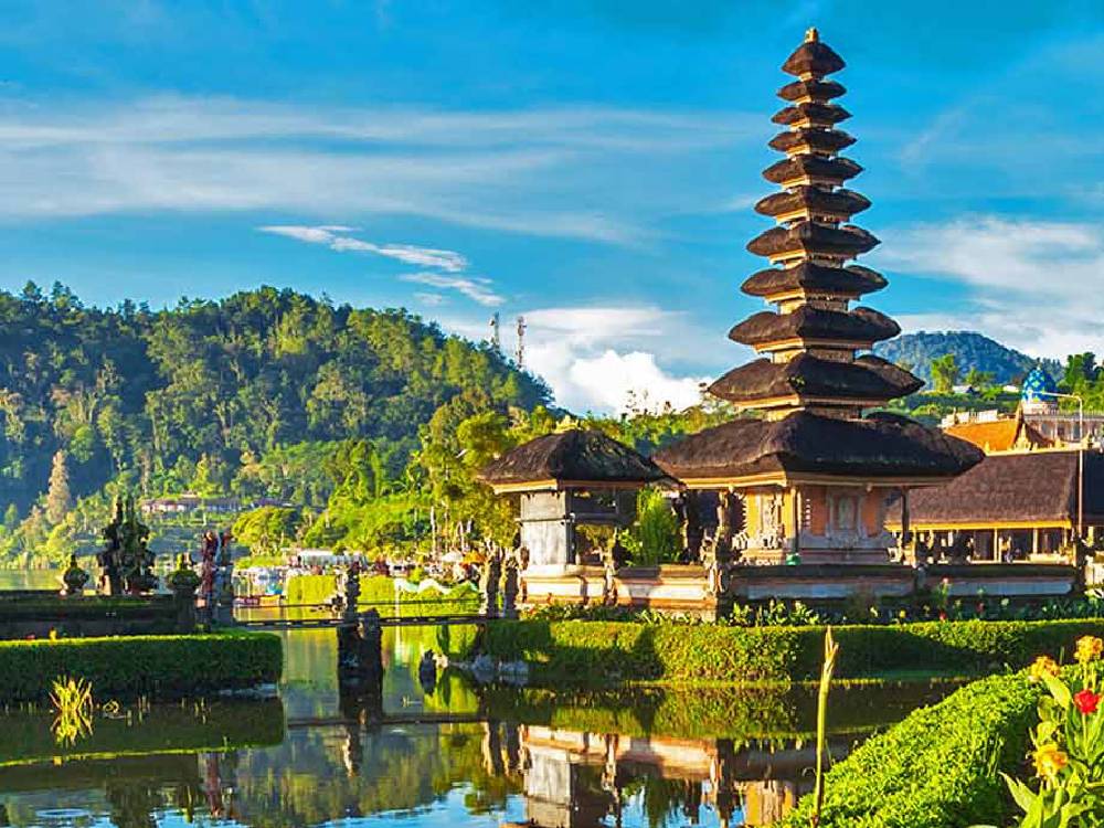 Bali Family Special