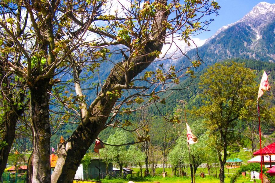 Paradise Kashmir Tour