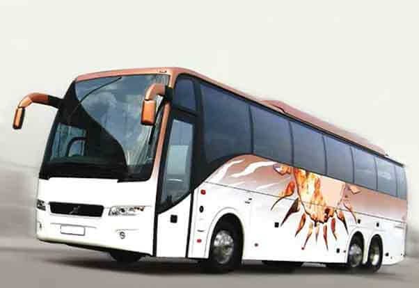 Bus Rental